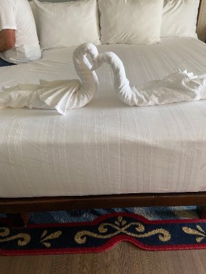 IMG_5333.jpeg
