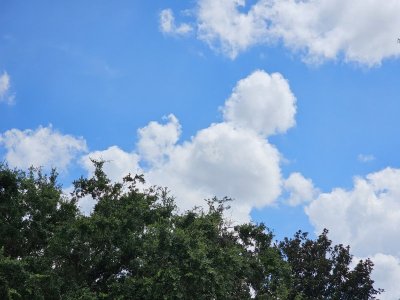 20250706_152524.jpg