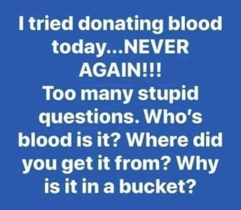 1000003431.jpg