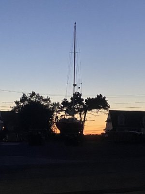 IMG_2438.jpeg