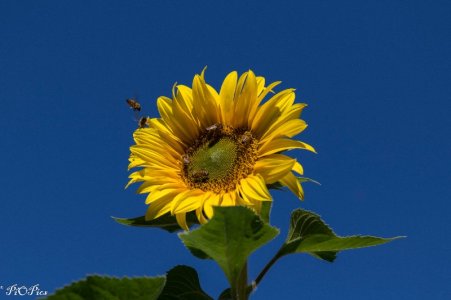 250421 Autumn-4886.jpg