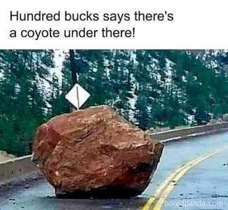 Image 2.jpeg