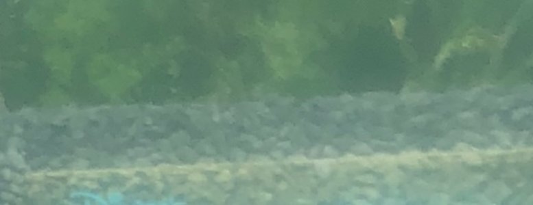 IMG_1941.jpeg