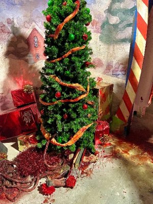 IMG_6079.jpeg