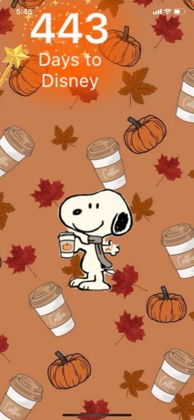 SNOOPY PUMPKIN COFFEE.jpeg