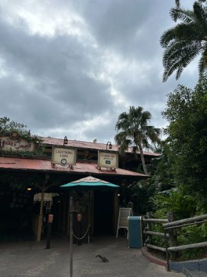IMG_7067.JPEG