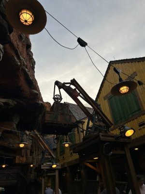 IMG_7113.JPEG