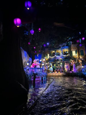 IMG_7126.JPEG