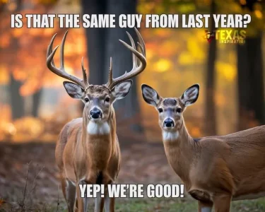 443387-bc3cc58b1c9540b94def20929a8d42c6.webp