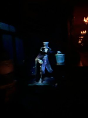 IMG_7161.JPEG