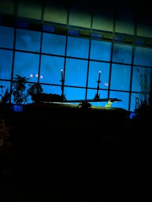 IMG_7162.JPEG