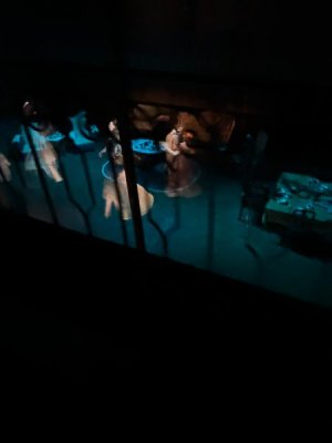 IMG_7173.JPEG