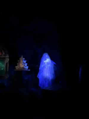 IMG_7175.JPEG