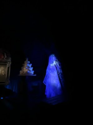 IMG_7177.JPEG