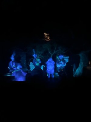 IMG_7182.JPEG