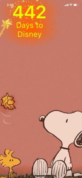 SW FALLING LEAF.jpeg