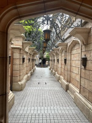 zIMG_1471.JPG