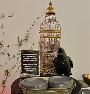 IMG_6183.jpeg