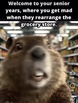 IMG_8763.jpeg