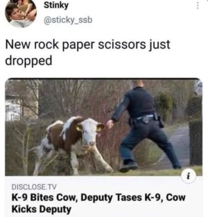 IMG_5190.jpeg