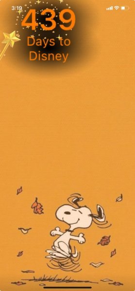 SNOOPY LEAF DANCE.jpeg