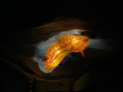IMG_1755.JPG