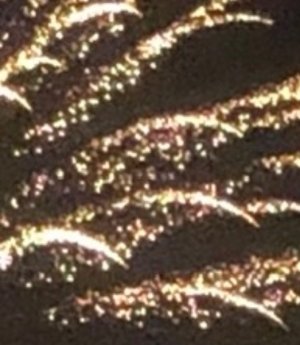 IMG_2738.jpeg