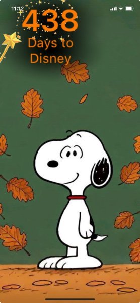 SNOOPY FALLING LEAVES.jpeg