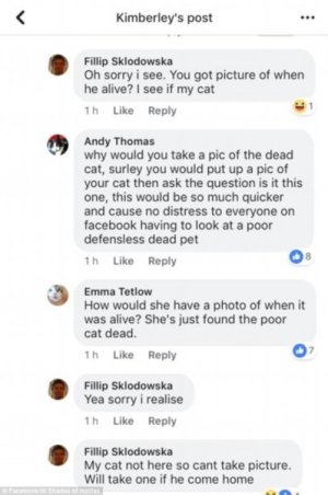 1758987333930.jpeg