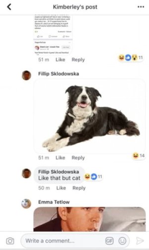 1758987352063.jpeg