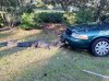 alligator vs car.jpg