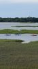 HHI View of Kayaks from Disney Resort Our Villa Building 31.jpeg