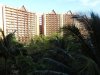 DSC01434.jpg