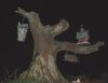 DSCN6327.JPG