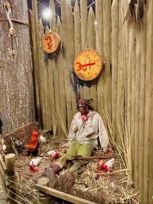 IMG_6232.jpeg
