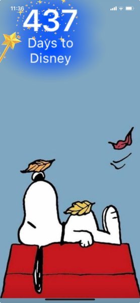 SNOOPY FALL SIESTA.jpeg