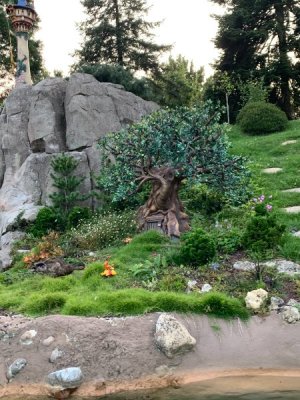 IMG_0163.JPEG