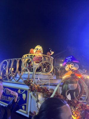 IMG_8721.jpeg IMG_8721.jpeg