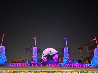 20250924_231309.jpg