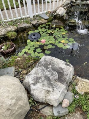 IMG_4829.jpeg