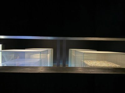 image2.jpeg