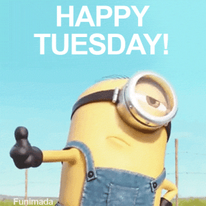 IMG_6688.gif