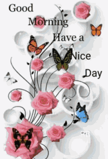 IMG_6692.gif
