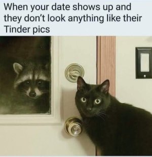 554862572_122146442366693221_3085798429260974113_n.jpg