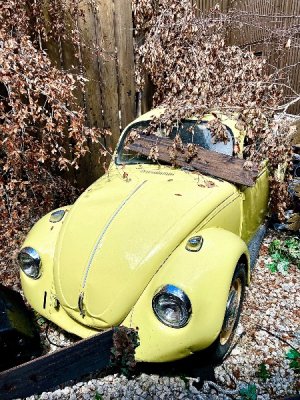 IMG_6305.jpeg