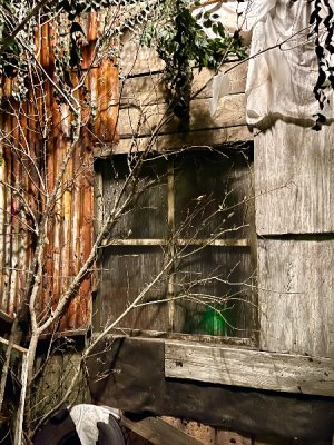 IMG_6290.jpeg