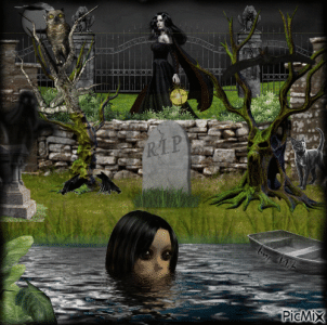 IMG_6430.gif