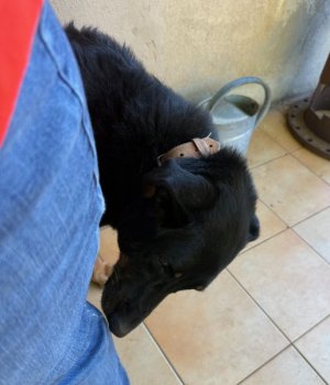image3.jpeg