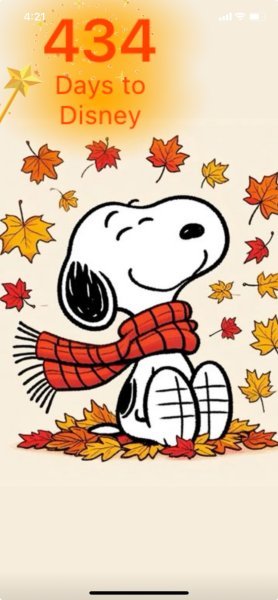 SNOOPY FINALLY FALL.jpeg