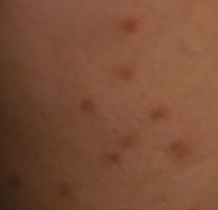 20251001_190457.jpg